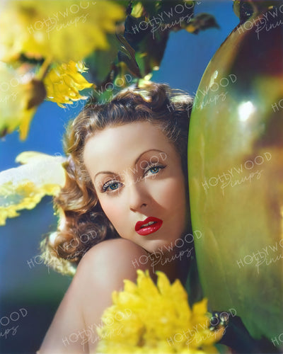 Danielle Darrieux THE RAGE OF PARIS 1938 by Ray Jones | Hollywood Pinups Color Prints