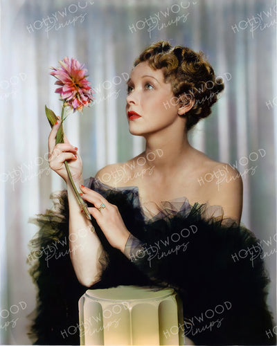 Helen Twelvetrees Delicate Dahlia 1935 | Hollywood Pinups Color Prints
