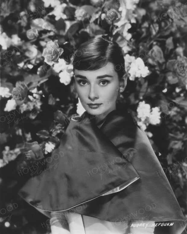 Audrey Hepburn Rose Beauty 1954 | Hollywood Pinups | Film Star Colour and B&W Prints