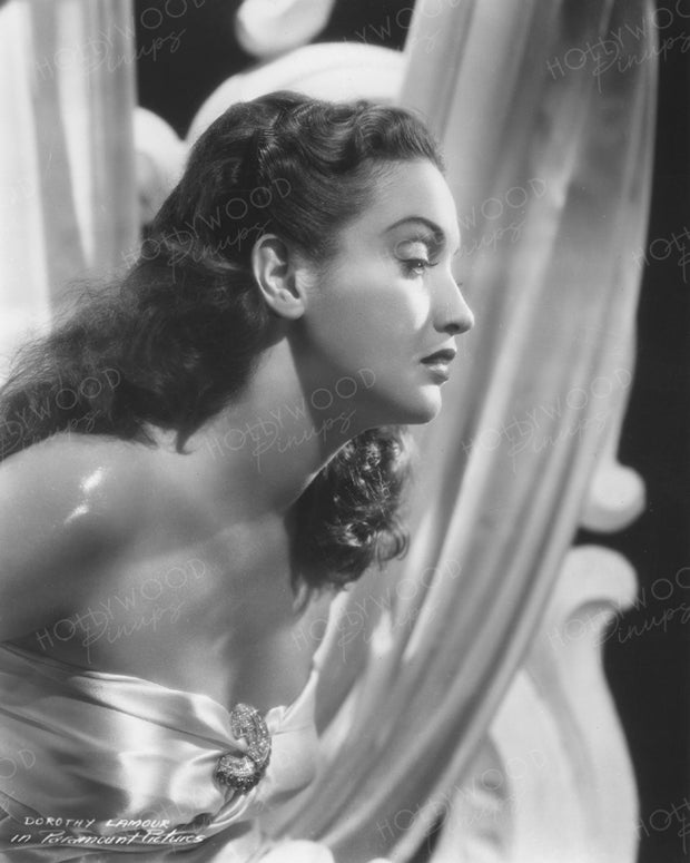 Dorothy Lamour Tropical Breeze 1941 | Hollywood Pinups | Film Star Colour and B&W Prints
