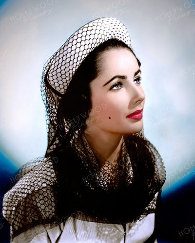 Elizabeth Taylor Fishnet Veil 1947 | Hollywood Pinups | Film Star Colour and B&W Prints