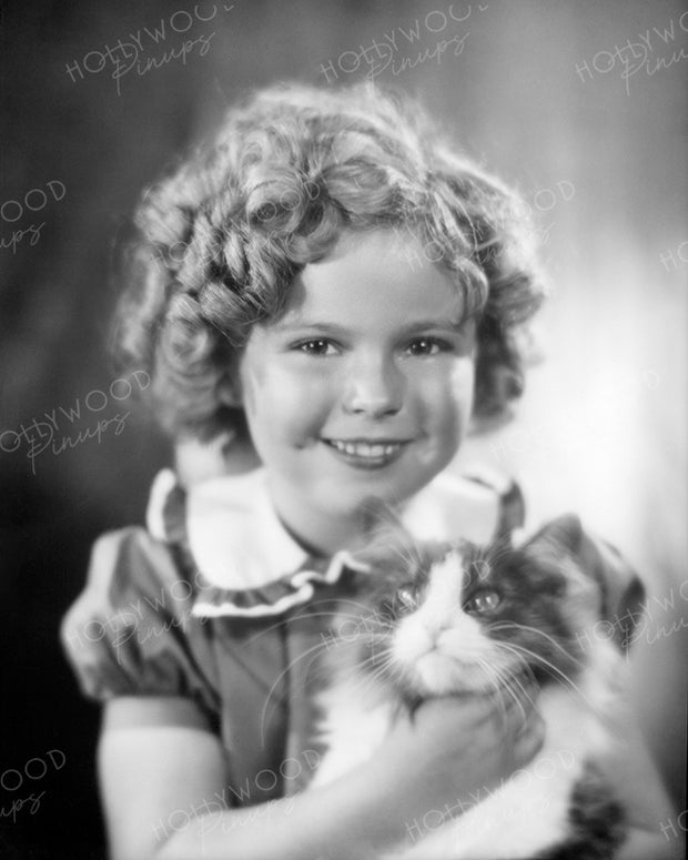 Shirley Temple Kitty Kat 1936 by HESSER | Hollywood Pinups Color Prints