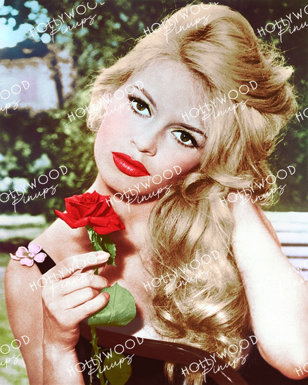 Brigitte Bardot Rose Beauty 1958 | Hollywood Pinups Color Prints