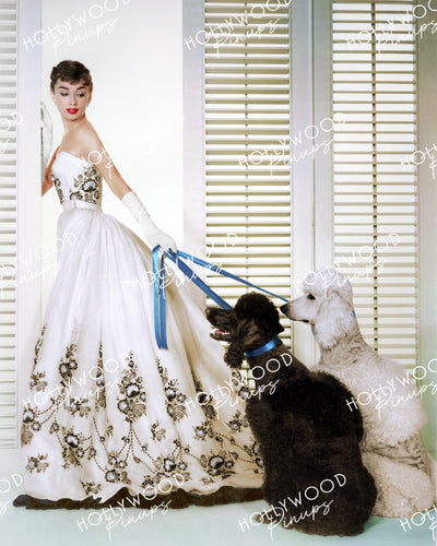 Audrey Hepburn SABRINA 1954 Pet Poodles - NEW ! | Hollywood Pinups | Film Star Colour and B&W Prints