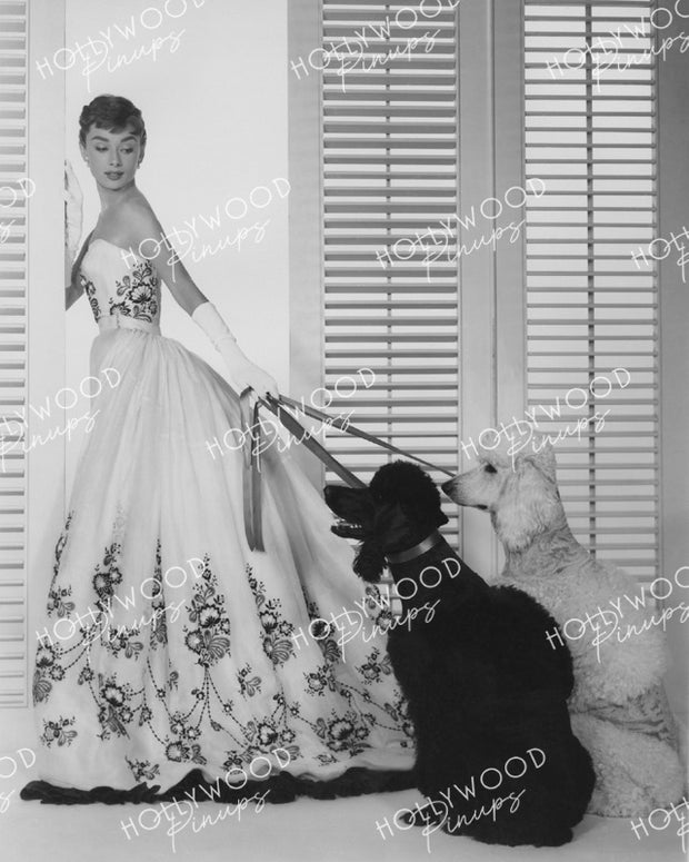 Audrey Hepburn SABRINA 1954 Pet Poodles - NEW ! | Hollywood Pinups | Film Star Colour and B&W Prints