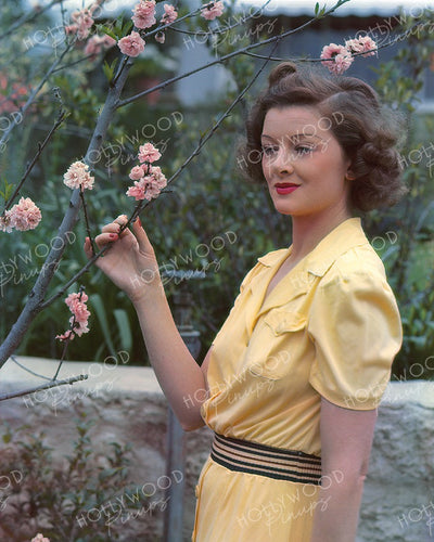 Myrna Loy Spring Blossom 1938 | Hollywood Pinups | Film Star Colour and B&W Prints