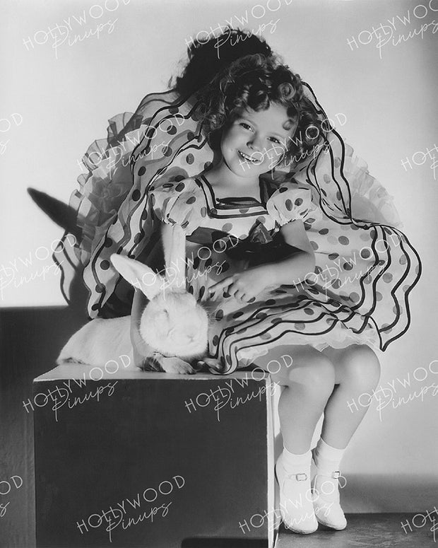 Shirley Temple Easter Bunny 1934 - NEW ! | Hollywood Pinups | Film Star Colour and B&W Prints