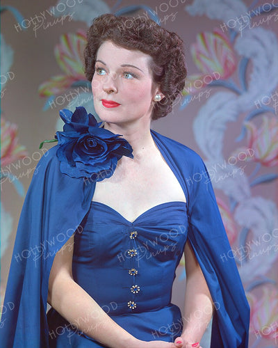 Ruth Hussey Blue Rose 1949 | Hollywood Pinups | Film Star Colour and B&W Prints